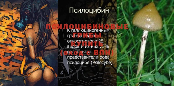 ПСИЛОЦИБИНОВЫЕ ГРИБЫ Лихославль