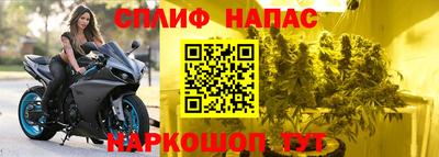 сатива Дубна