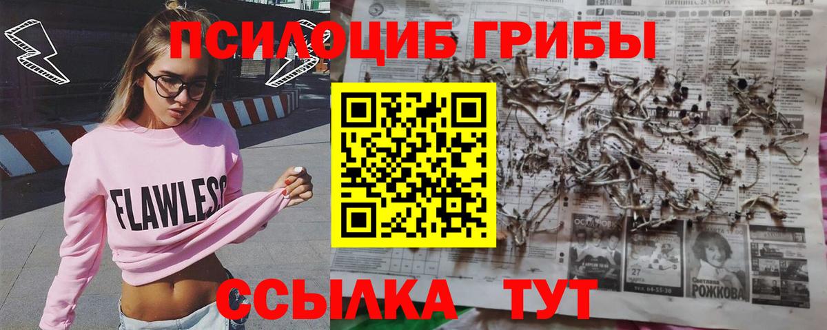 Псилоцибиновые грибы мухоморы Норильск