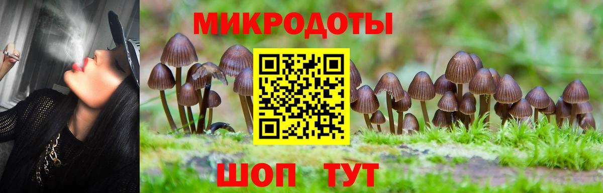 Галлюциногенные грибы GOLDEN TEACHER  сколько стоит  Норильск  Галлюциногенные грибы мицелий  Вход с VPN 